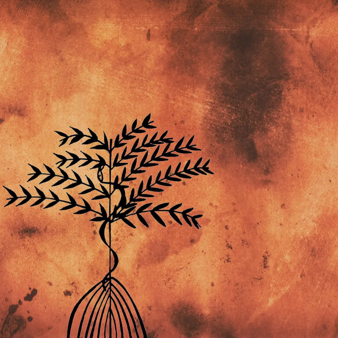 Danbala laflanbo (1) Danbala laflanbo (1)